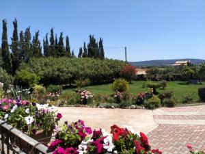 Il Giardino delle Rose A img23