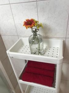 Apartmán Silvia