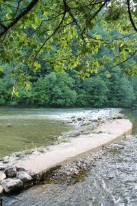 Vineyard cottage Kolpa Zupančič 