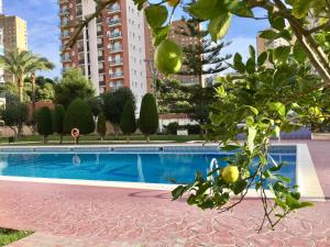 BEACH STUDIO APARTMENT HANNIBAL La Cala FINESTRAT BENIDORM