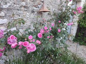 Maisons de vacances Au Jardin de la Marquetterie : photos des chambres