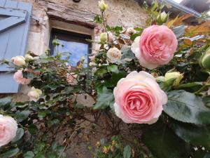 Maisons de vacances Au Jardin de la Marquetterie : photos des chambres