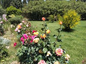 Il Giardino delle Rose A img31