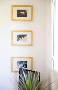 Azulita, Tranquil Garden Casita, Walk to Beach