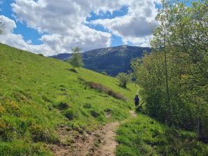 Appartements Spacieux et confortables gites a proximite randonnees, lacs, ski nature : photos des chambres