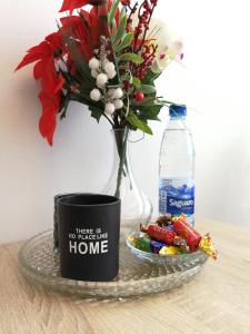 Šiauliai City Apartment