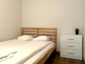 Forest 23 Marca Sopot