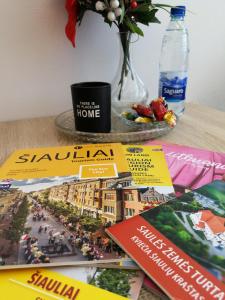 Šiauliai City Apartment