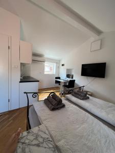 Casa David 