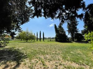 Campings Logement 2 chambres avec jacuzzi sur terrain en pleine nature : photos des chambres