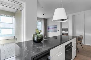 Modern Apt in Central Reykjavík