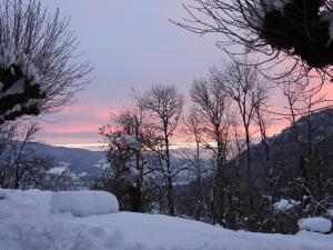 B&B / Chambres d'hotes Le Figarelou : photos des chambres