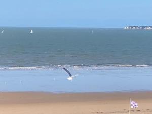 Appartements LES CEDRES, Residence LES OCEANES : photos des chambres