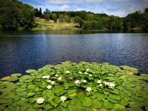 Private lake & gite surrounded by acres of nature