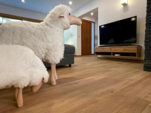 Appartements Les Moutons de Cauterets - garage prive : photos des chambres