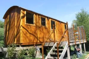 La Roulotte Viticole - sauna - toilette sèche - Sart-Saint-Laurent