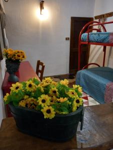 Antica Dimora Alghero Apartment Old Town Center img11