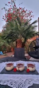 La villetta TRE PALME img10