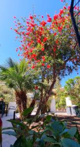 La villetta TRE PALME img7