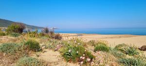 La villetta TRE PALME img49