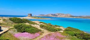 La villetta TRE PALME img37