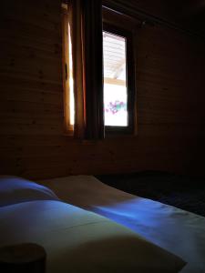 Riverside Komani Lake