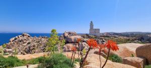 La villetta TRE PALME img62