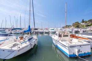 Appartements Magnifique studio avec TERRASSE- PROCHE DE LA MER! : photos des chambres