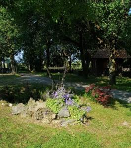 B&B / Chambres d'hotes Chalet du moulin : photos des chambres