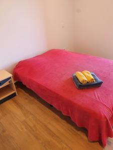 English Club in Corsica B&B