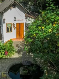 Finca Los Abuelos - La Planta - Cisneros