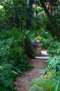 House & Garden by the beach