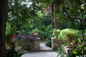 House & Garden by the beach