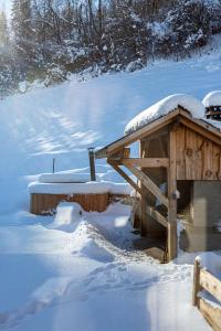 Maisons de vacances Grand chalet convivial avec sa piscine interieure : photos des chambres