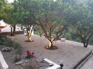 Diamoni Afroditi two houses for max 6 persons