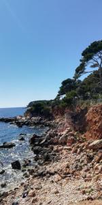 Maisons de vacances Pause detente a L'Escale d'Aubagne : photos des chambres