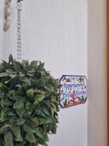 Appartamenti Stella Marina