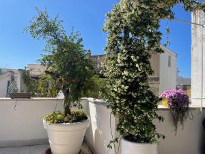 #soloperte B&B apartments