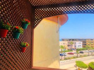 Maamoura Beach apartment