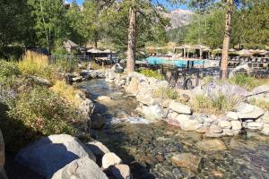Resort at Squaw Creeks 317 & 319