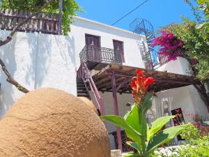 obrázek - Cycladic House in Skiros
