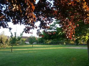 Maison spacieuse avec Wifi, proche de Cherveix-Cubas - FR-1-616-158