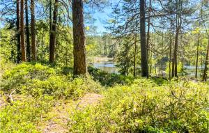 Gorgeous Home In Mollaryd With Wifi