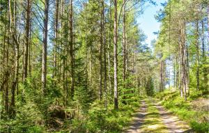 Gorgeous Home In Mollaryd With Wifi