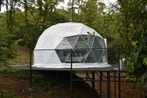 Roble Coral Glamping, Sarapiquí