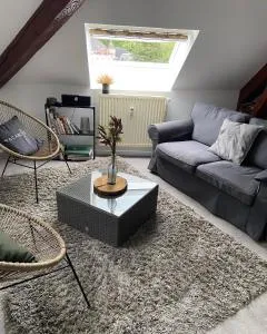 COSY APPART - 比涅维勒