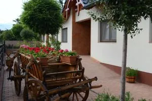 Hanság Vendégház - Agyagosszergény