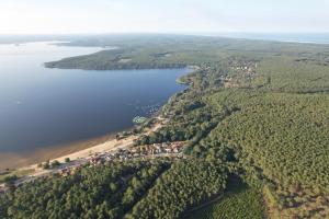Appartements Eco-lodges Lacanau Moutchic Inn - 4 pers : photos des chambres