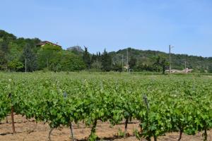 Campings Camping maeva Escapades Le Casque Roi : photos des chambres
