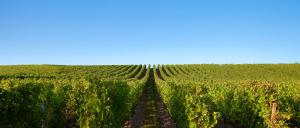 Camping maeva Escapades Le Casque Roi